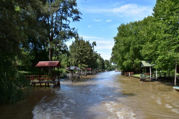 Tigre Delta - Image 4